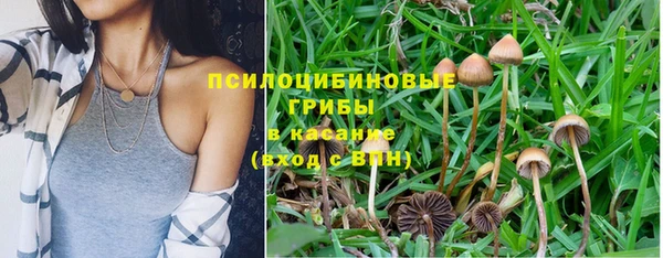 а пвп мука Алексеевка