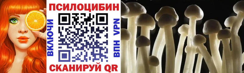 Галлюциногенные грибы Psilocybe  продажа наркотиков  Когалым 