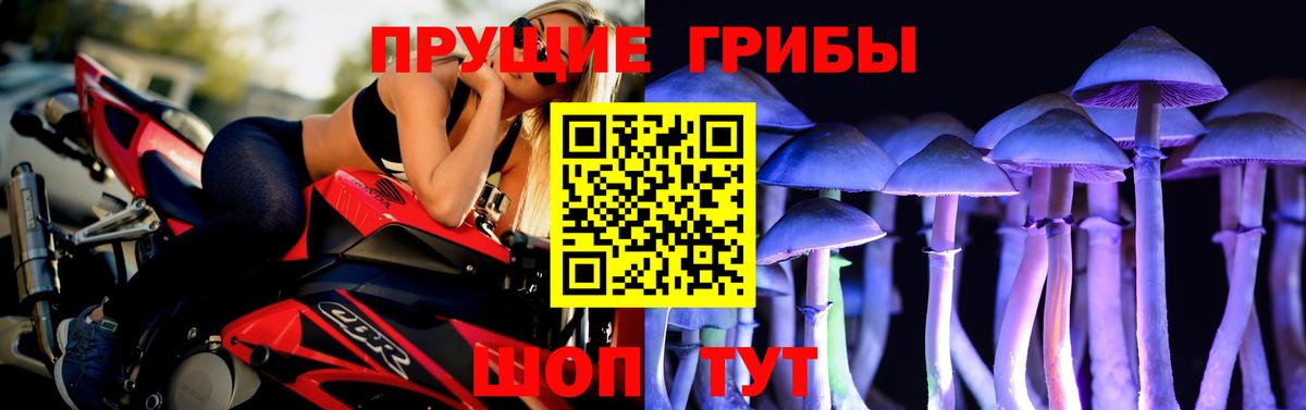 Галлюциногенные грибы GOLDEN TEACHER Когалым